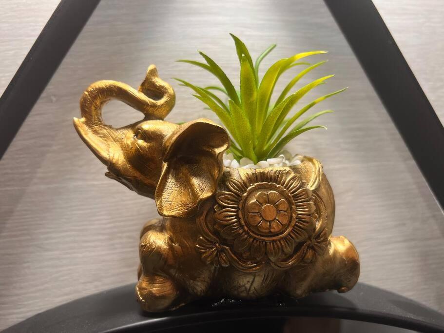 Top Loft Perles 4 Des Chateaux Mer エクステリア 写真